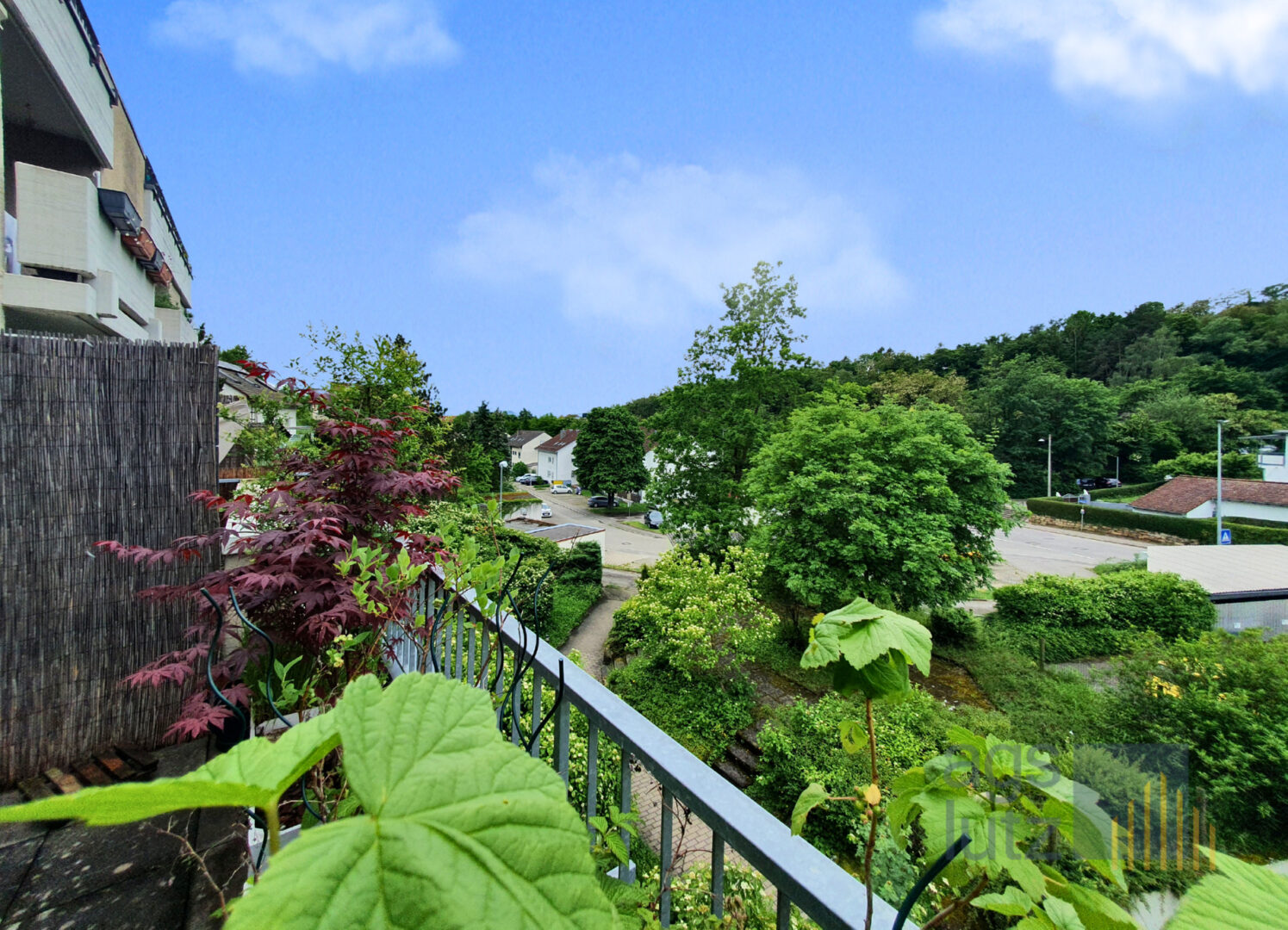 Gmelin-Käsenbachstraße