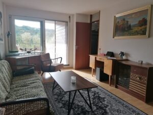 Wohnzimmer 2
