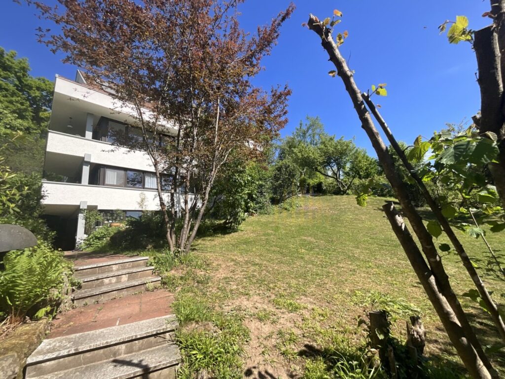 Image (16)