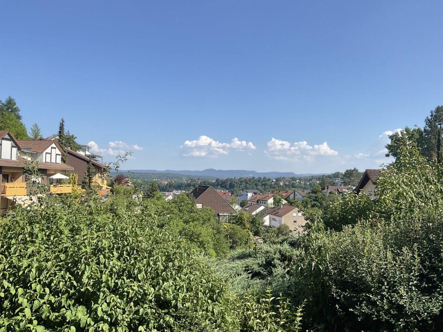 Ausblick von Terrasse Garten