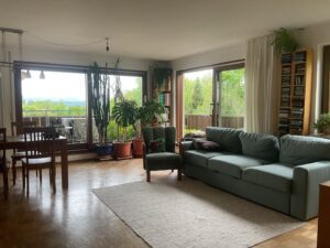 Wohnzimmer mit Balkonzugang