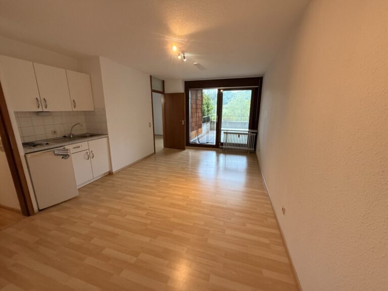 Wohnzimmer mit Kochnische